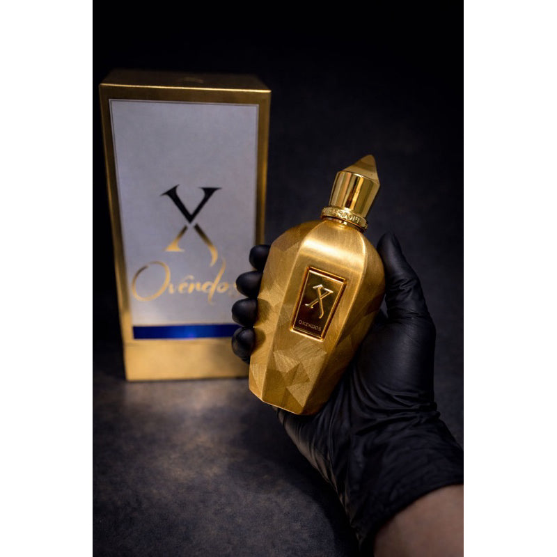 Perfume Feminino Accento Overdose Xerjoff 100 ML Eau De Parfum LINHA PREMIUM